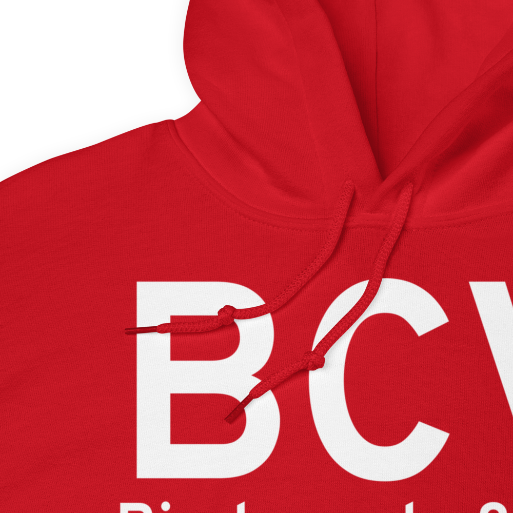 Birchwood (PABV) Airport Hoodie Sweatshirt 