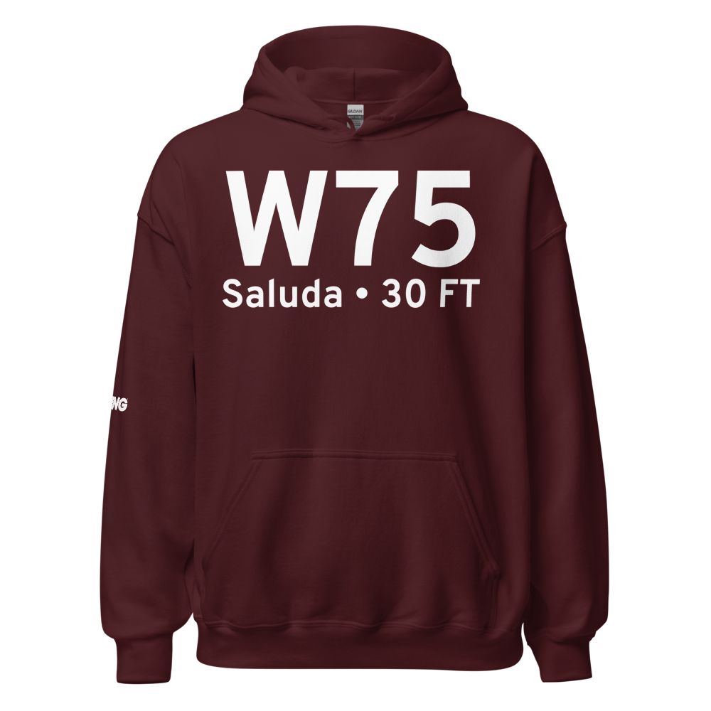Saluda (W75) Airport Hoodie Sweatshirt 