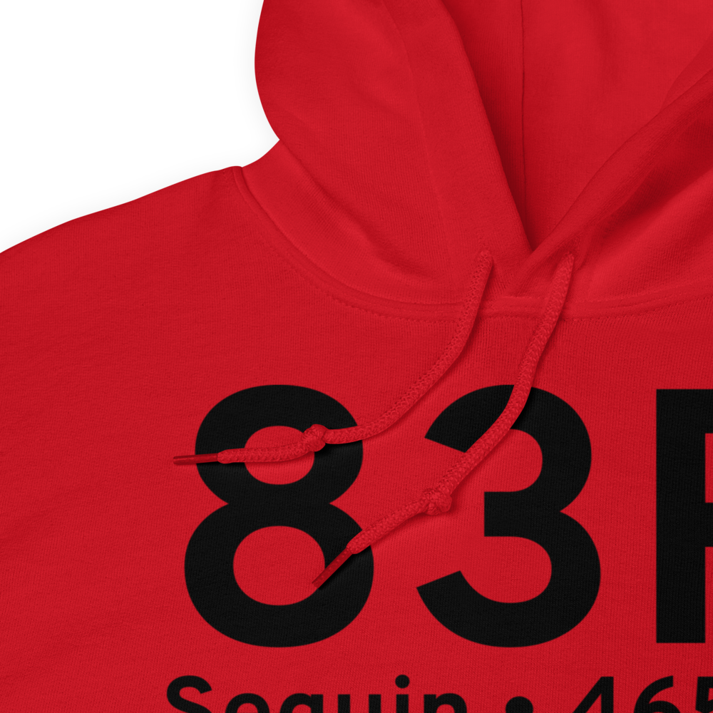 Seguin (83R) Airport Hoodie Sweatshirt 