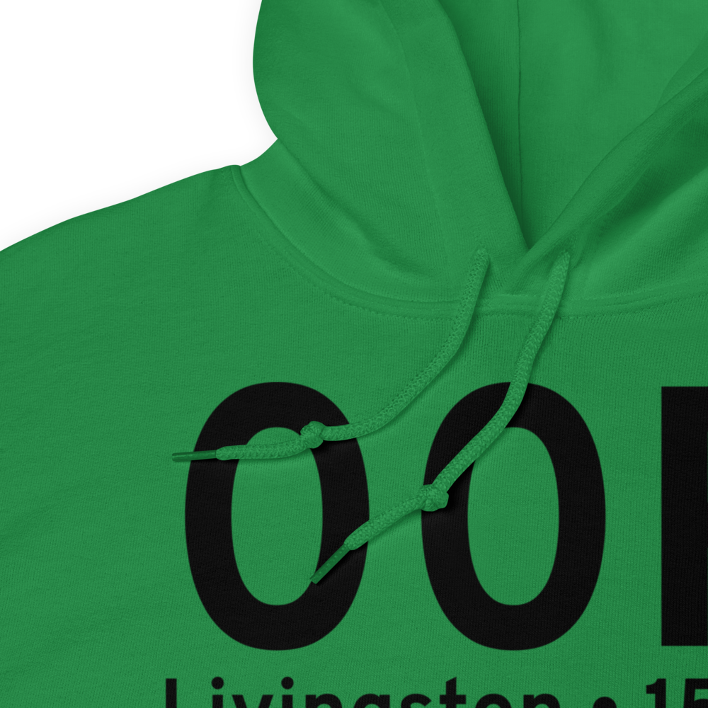 Livingston (K00R) Airport Hoodie Sweatshirt 