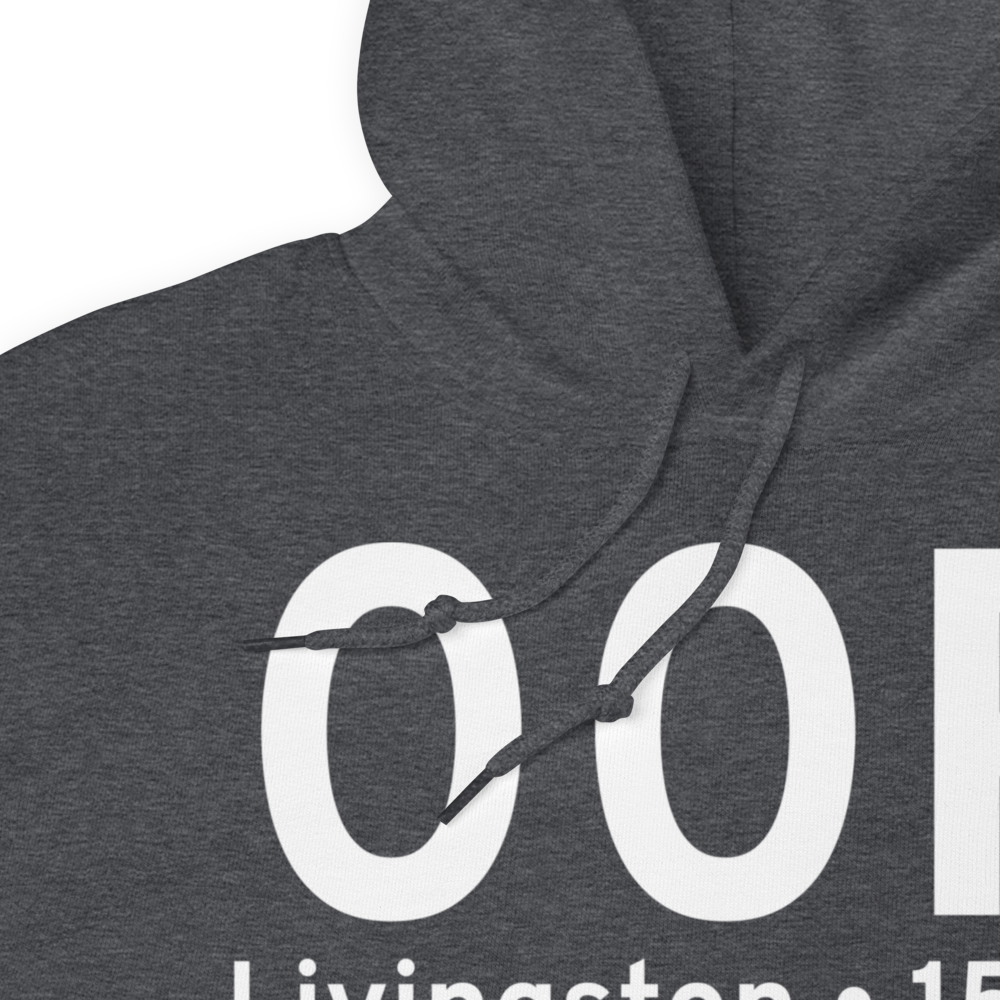 Livingston (K00R) Airport Hoodie Sweatshirt 