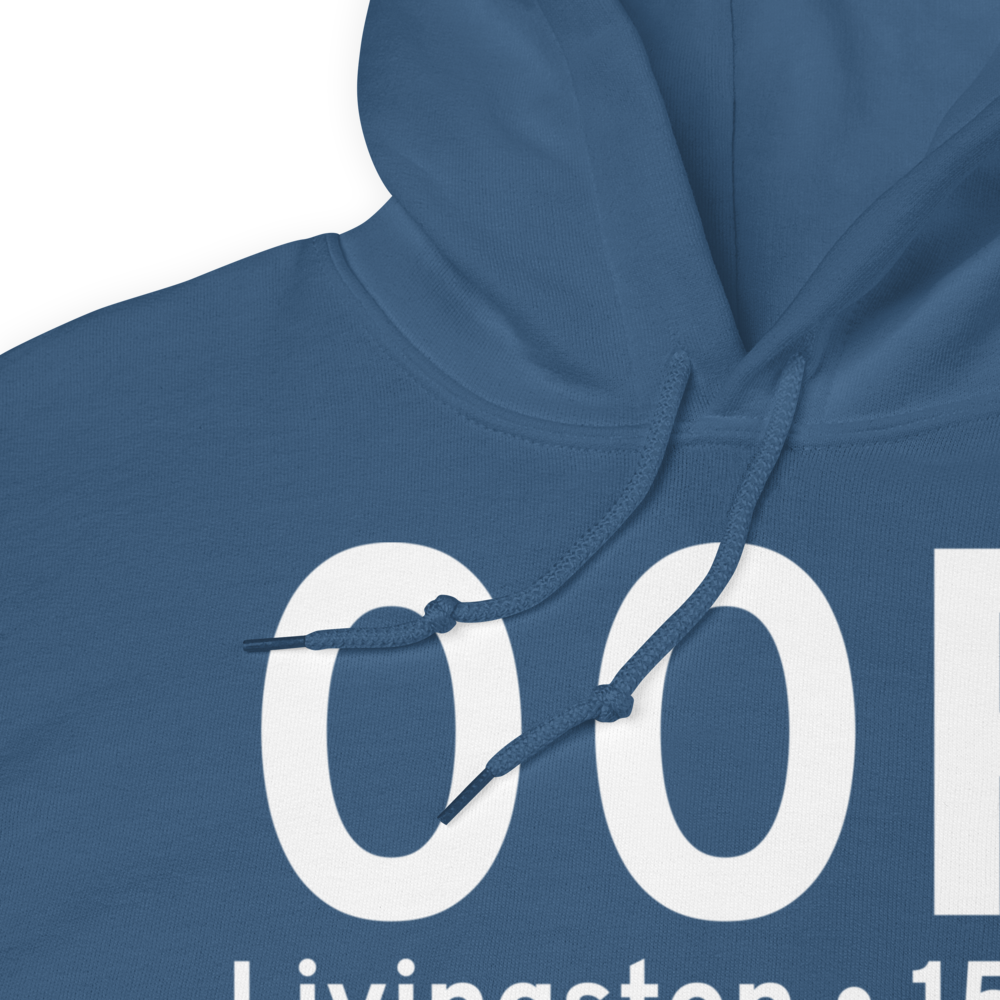 Livingston (K00R) Airport Hoodie Sweatshirt 