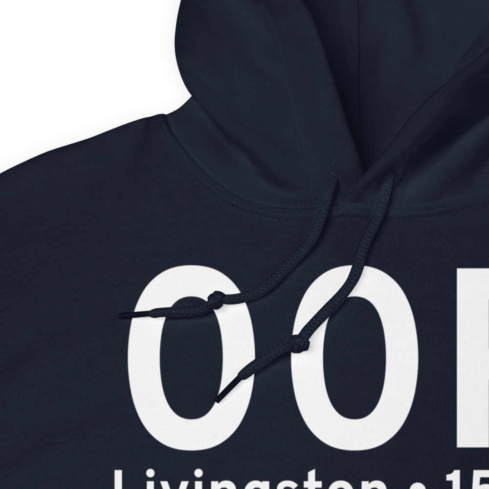 Livingston (K00R) Airport Hoodie Sweatshirt 