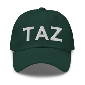 Taylorville (KTAZ) Airport Hat