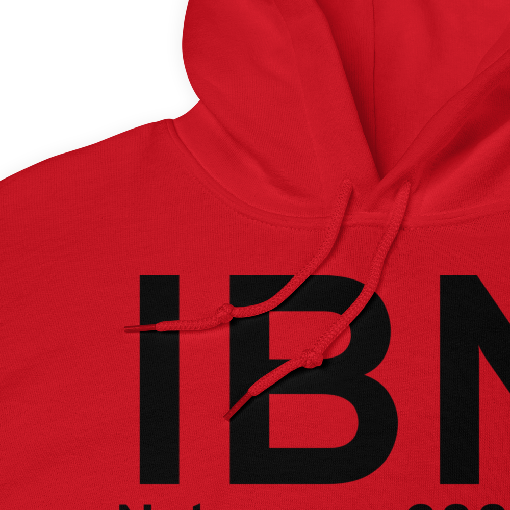Nabesna (IBN) Airport Hoodie Sweatshirt 