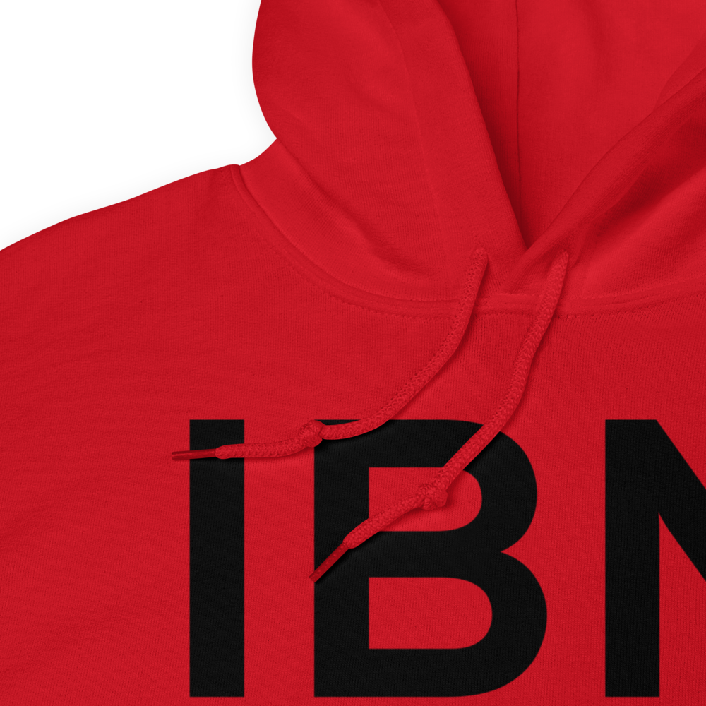 Nabesna (IBN) Airport Hoodie Sweatshirt 