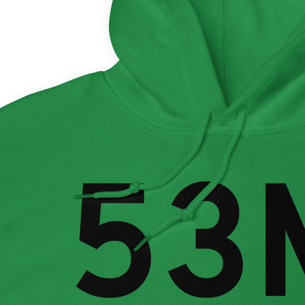 Alpena (53M) Airport Hoodie Sweatshirt 