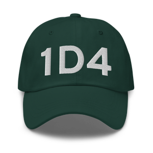 Akron (1D4) Airport Hat