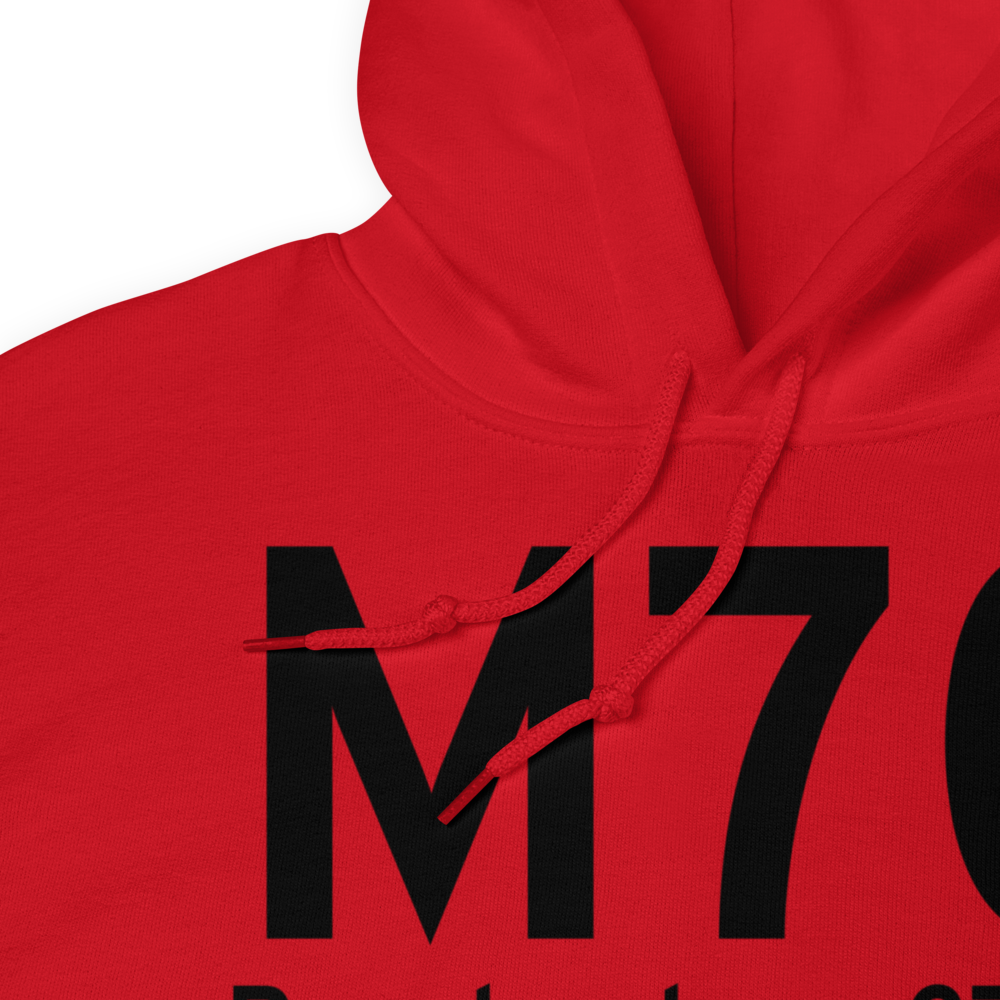 Pocahontas (KM70) Airport Hoodie Sweatshirt 