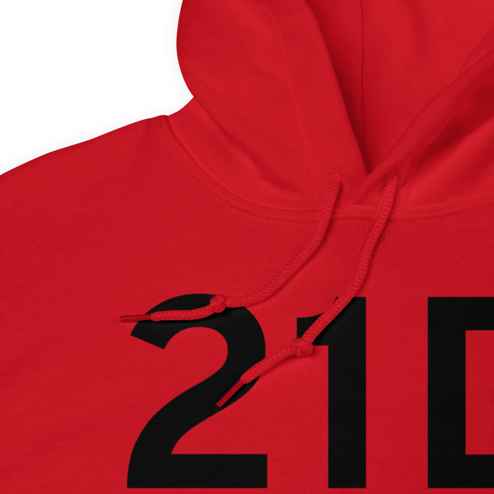 St Paul (K21D) Airport Hoodie Sweatshirt 