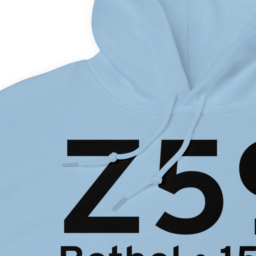 Bethel (Z59) Airport Hoodie Sweatshirt 