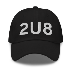 Stanley (2U8) Airport Hat