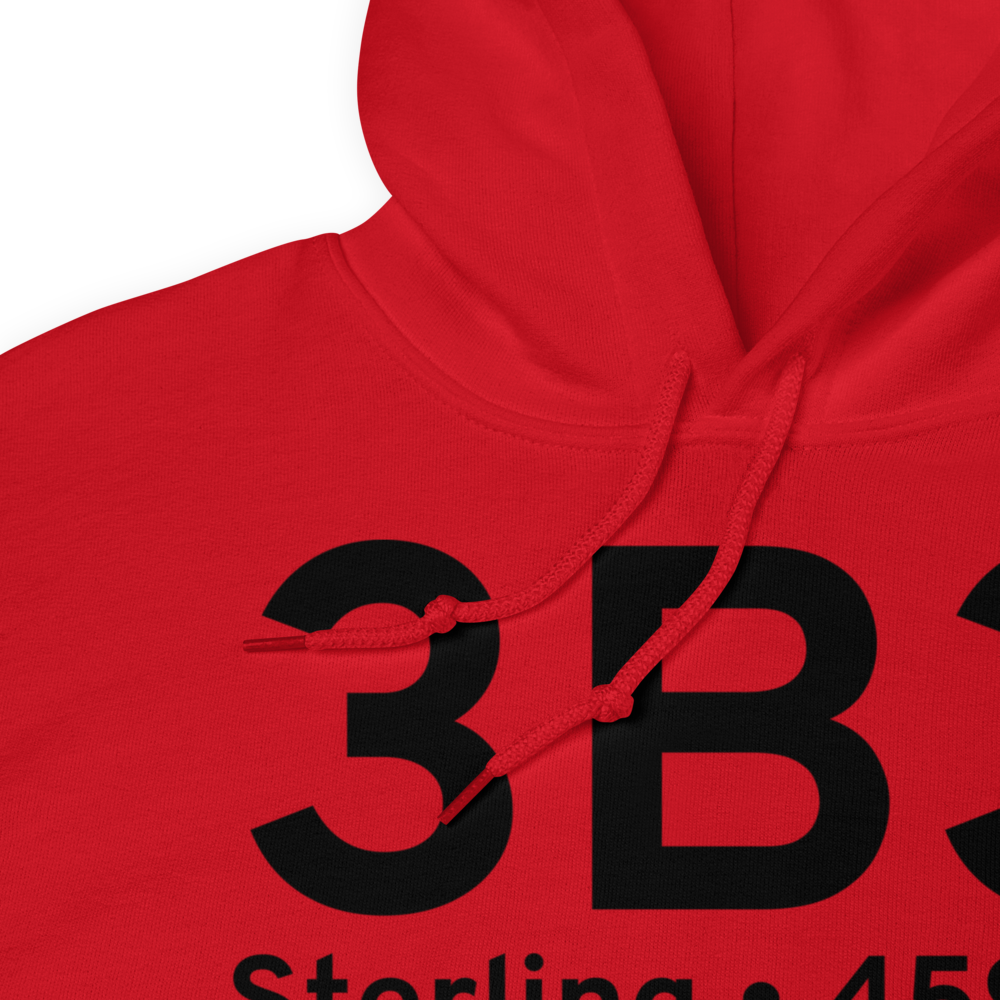 Sterling (3B3) Airport Hoodie Sweatshirt 