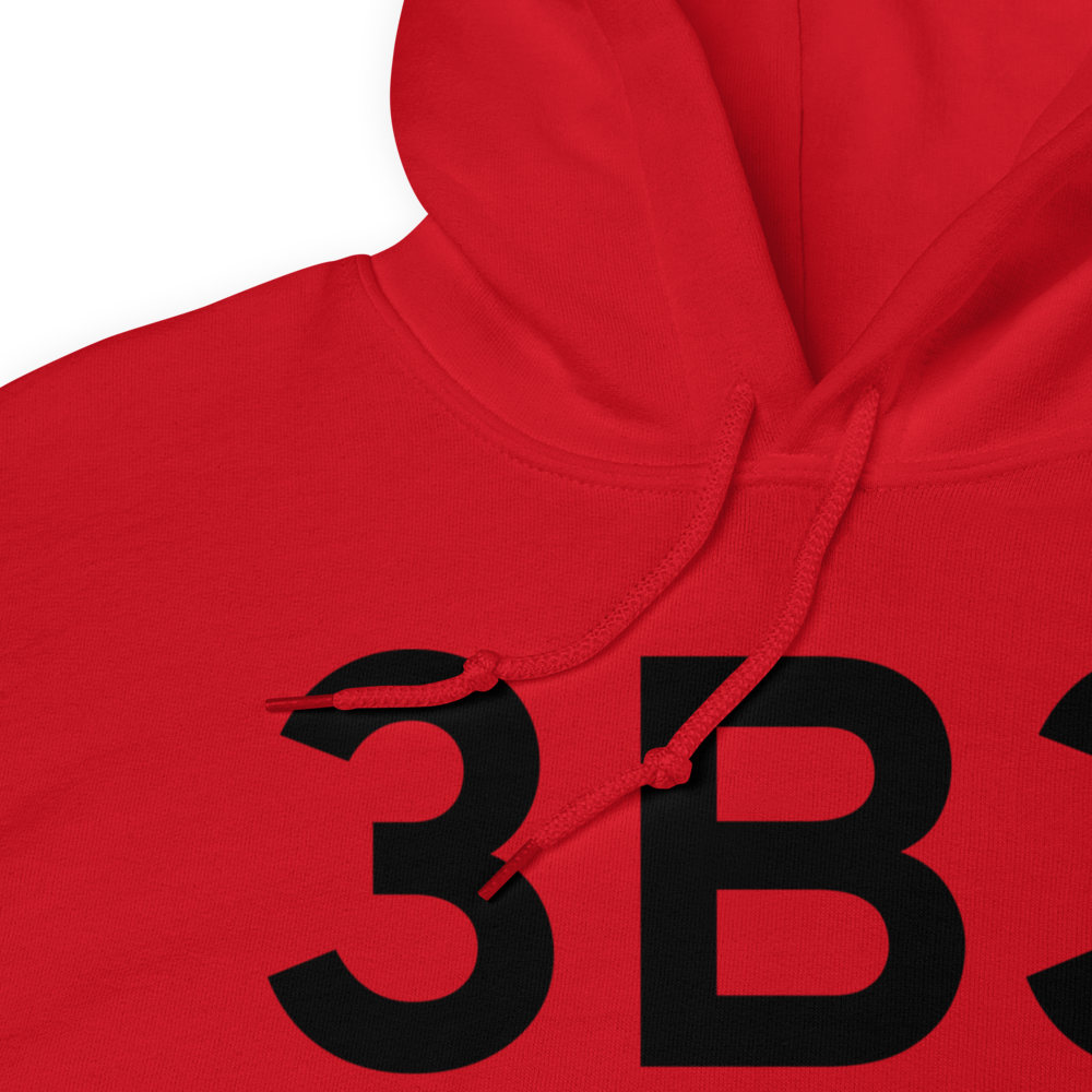 Sterling (3B3) Airport Hoodie Sweatshirt 