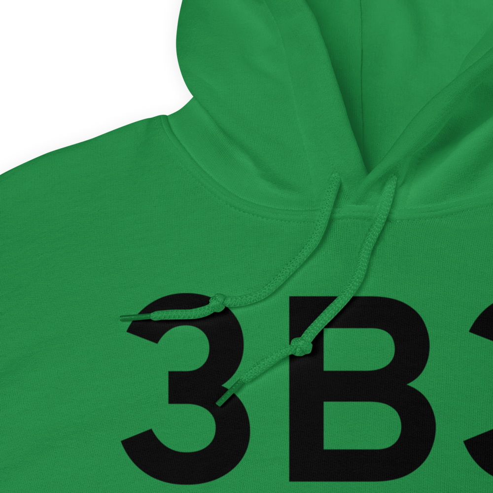 Sterling (3B3) Airport Hoodie Sweatshirt 