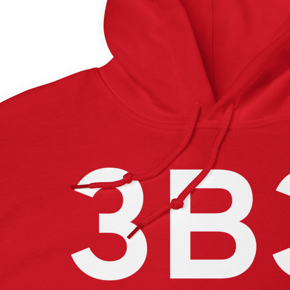 Sterling (3B3) Airport Hoodie Sweatshirt 