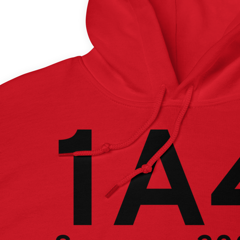 Samson (K1A4) Airport Hoodie Sweatshirt 