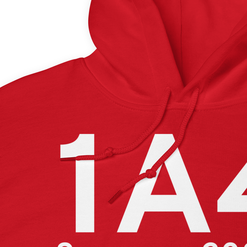 Samson (K1A4) Airport Hoodie Sweatshirt 