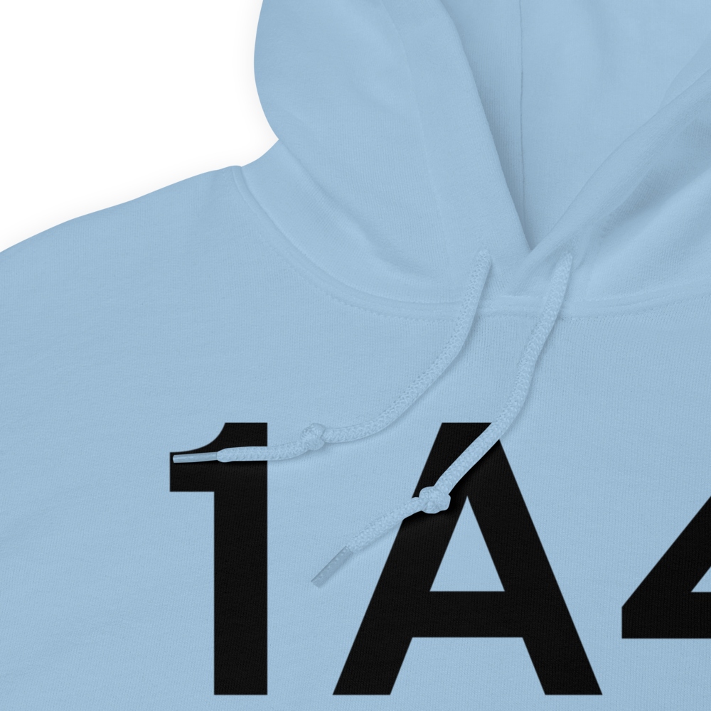 Samson (K1A4) Airport Hoodie Sweatshirt 