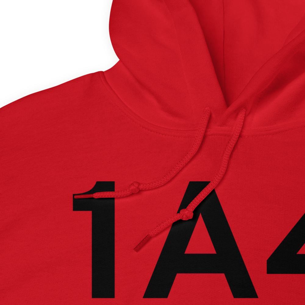 Samson (K1A4) Airport Hoodie Sweatshirt 