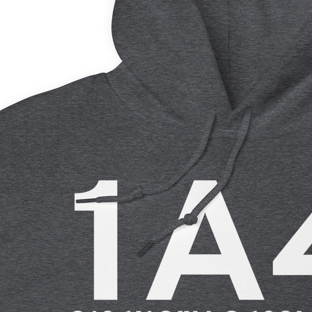 Samson (K1A4) Airport Hoodie Sweatshirt 