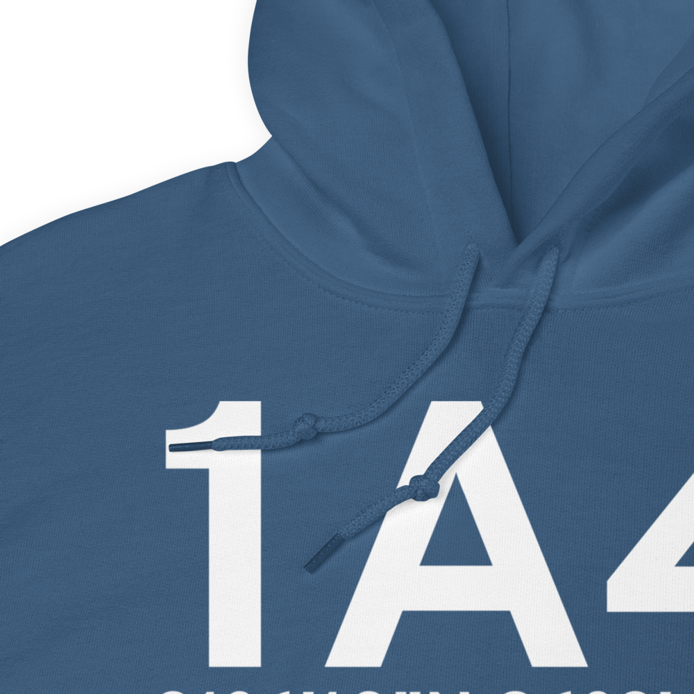 Samson (K1A4) Airport Hoodie Sweatshirt 