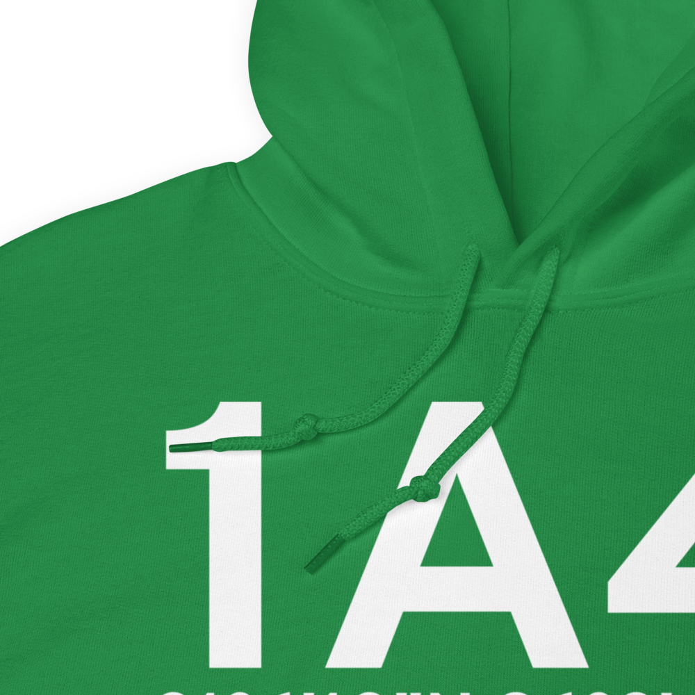 Samson (K1A4) Airport Hoodie Sweatshirt 