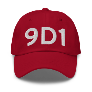 Gregory (K9D1) Airport Hat