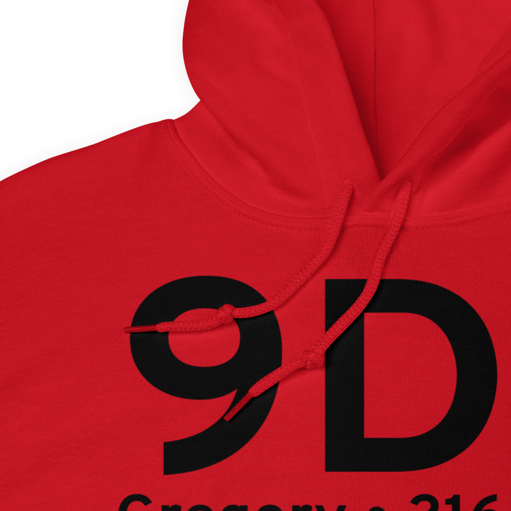 Gregory (K9D1) Airport Hoodie Sweatshirt 