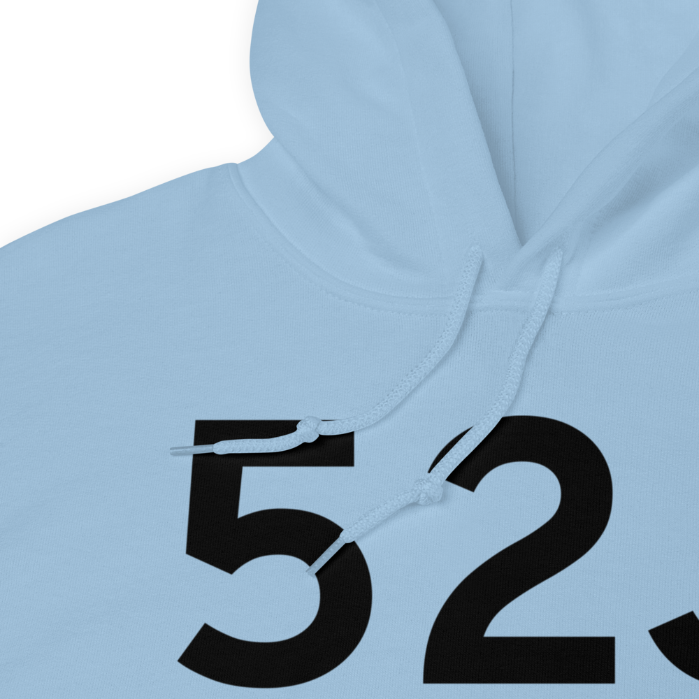 Bishopville (K52J) Airport Hoodie Sweatshirt 