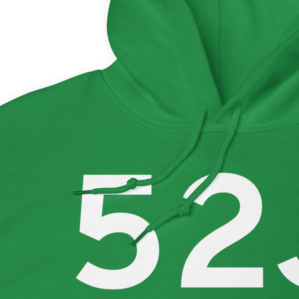 Bishopville (K52J) Airport Hoodie Sweatshirt 