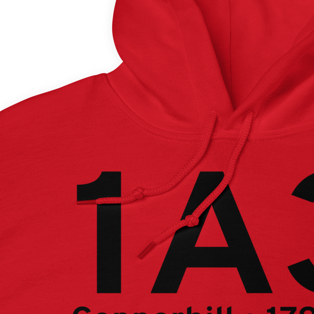 Copperhill (K1A3) Airport Hoodie Sweatshirt 