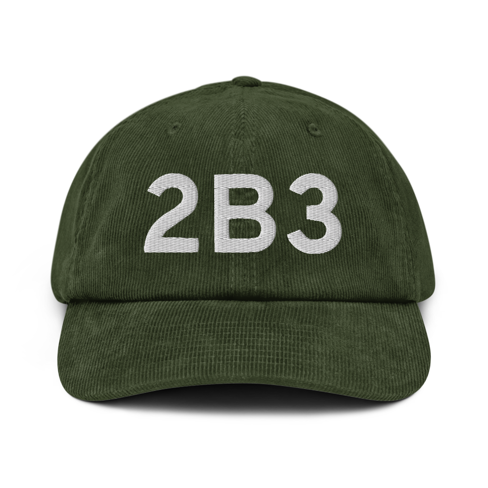 Newport (K2B3) Airport Hat 