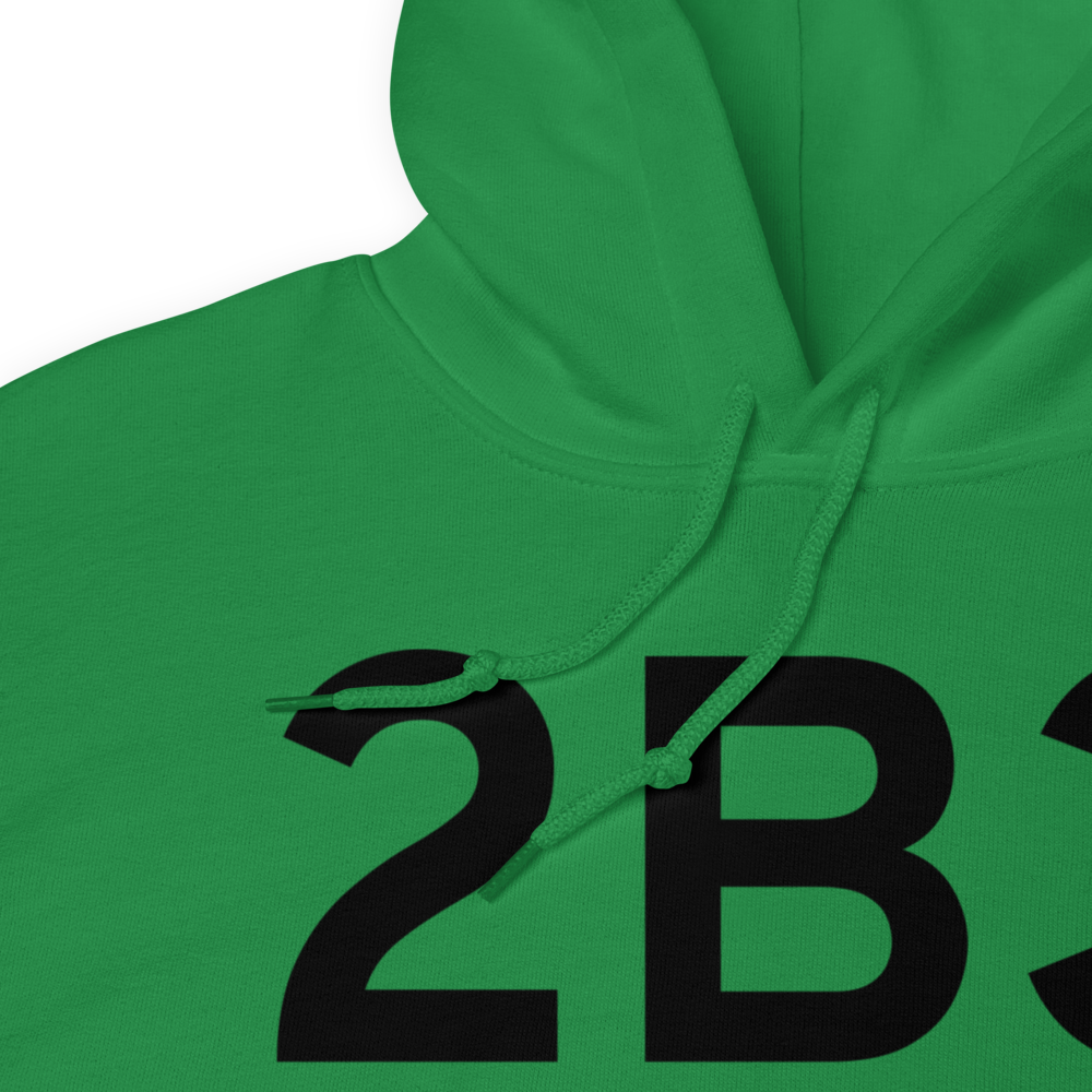 Newport (K2B3) Airport Hoodie Sweatshirt 