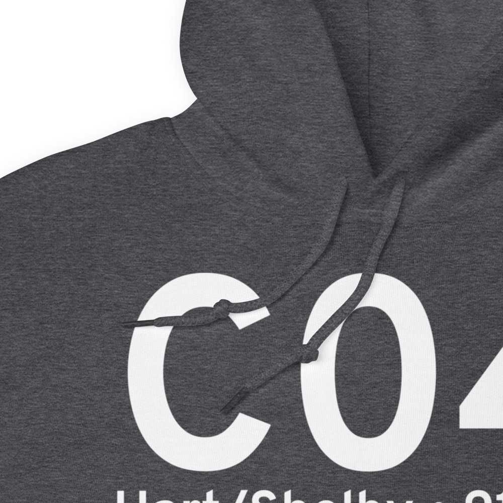 Hart/Shelby (KC04) Airport Hoodie Sweatshirt 