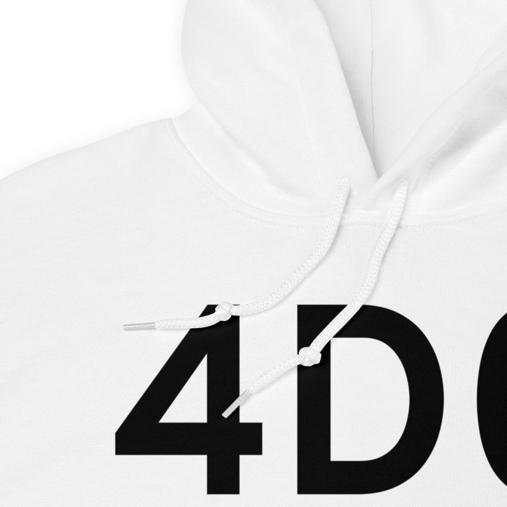 Grand Ledge (K4D0) Airport Hoodie Sweatshirt 