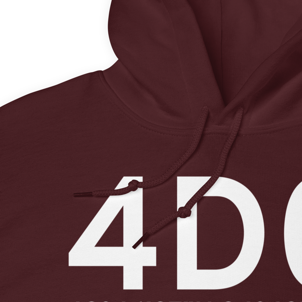 Grand Ledge (K4D0) Airport Hoodie Sweatshirt 