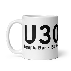 Temple Bar (KU30) Airport Mug