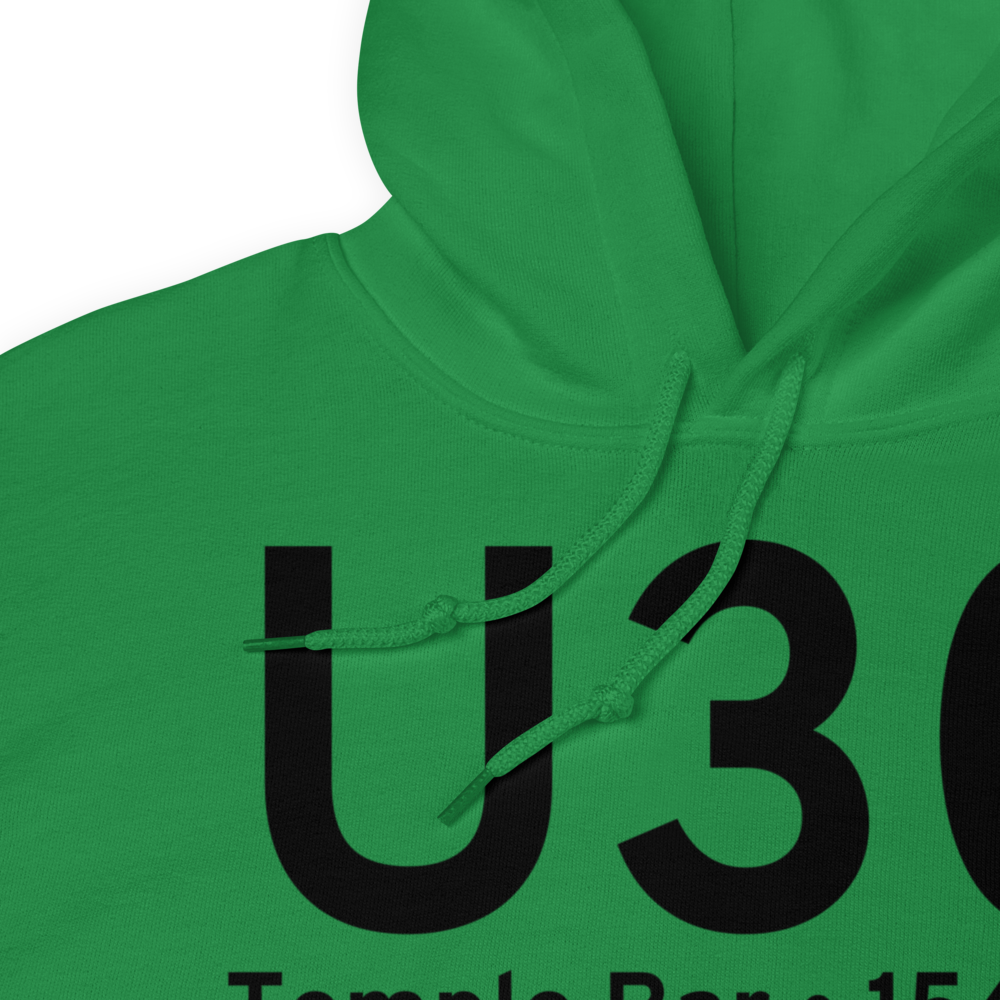 Temple Bar (KU30) Airport Hoodie Sweatshirt 