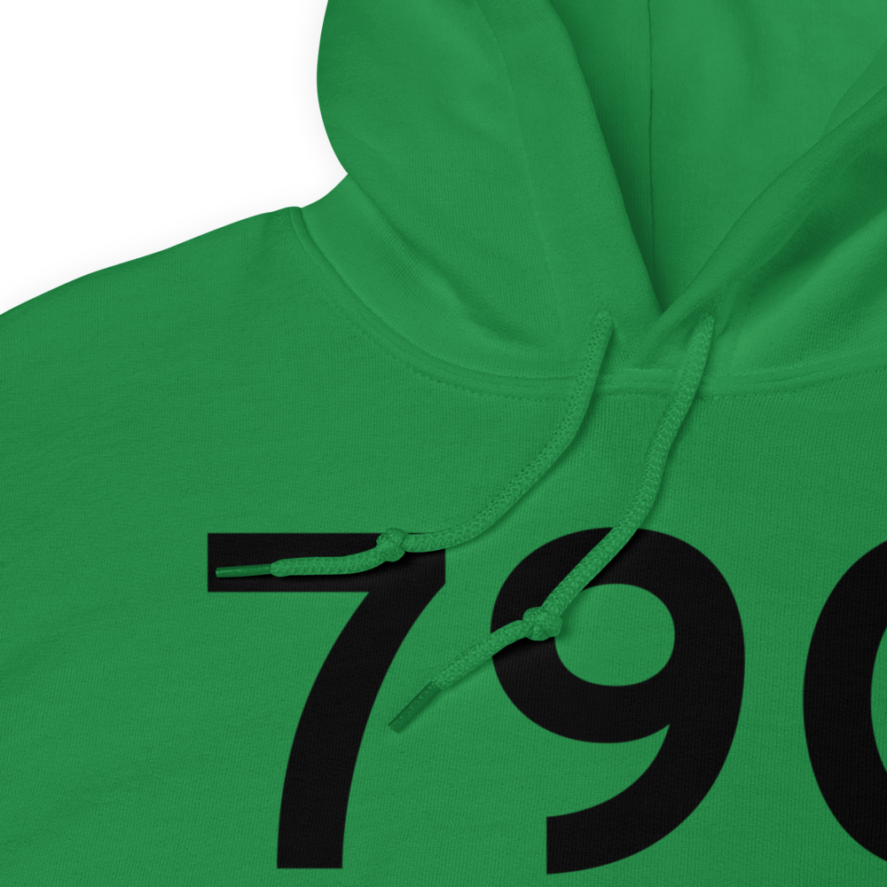 Neenah (79C) Airport Hoodie Sweatshirt 