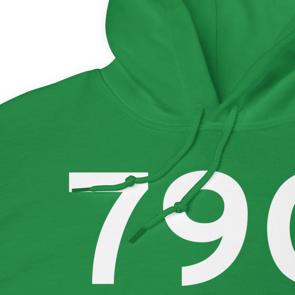 Neenah (79C) Airport Hoodie Sweatshirt 