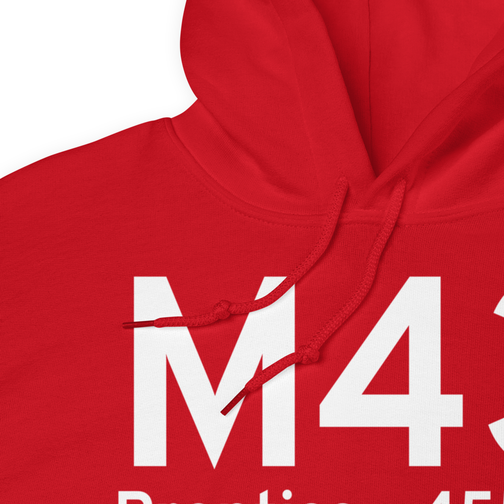 Prentiss (KM43) Airport Hoodie Sweatshirt 