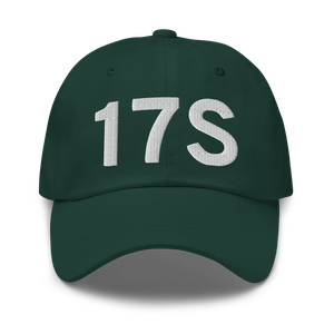 Newberg (17S) Airport Hat