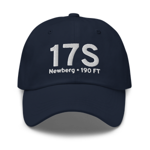 Newberg (17S) Airport Hat