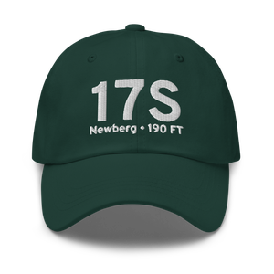 Newberg (17S) Airport Hat