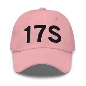 Newberg (17S) Airport Hat