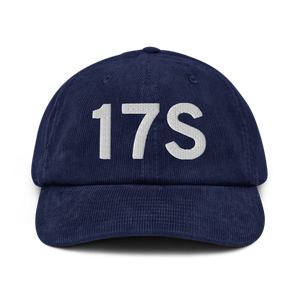 Newberg (17S) Airport Hat