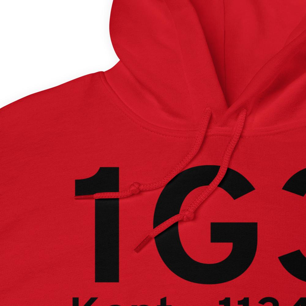 Kent (K1G3) Airport Hoodie Sweatshirt 