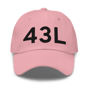 Los Angeles (43L) Airport Hat