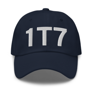 San Antonio (K1T7) Airport Hat